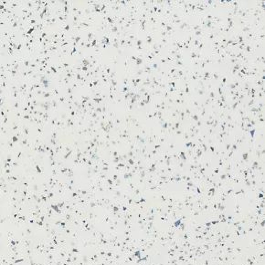 Bathroom Wall Panels * | Splashwall Laminate Panel Gloss Star Dust 590 X 2440 X 11Mm